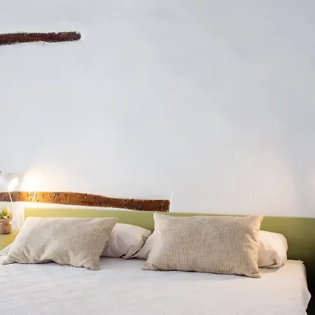 Ottoh Charm Valencia